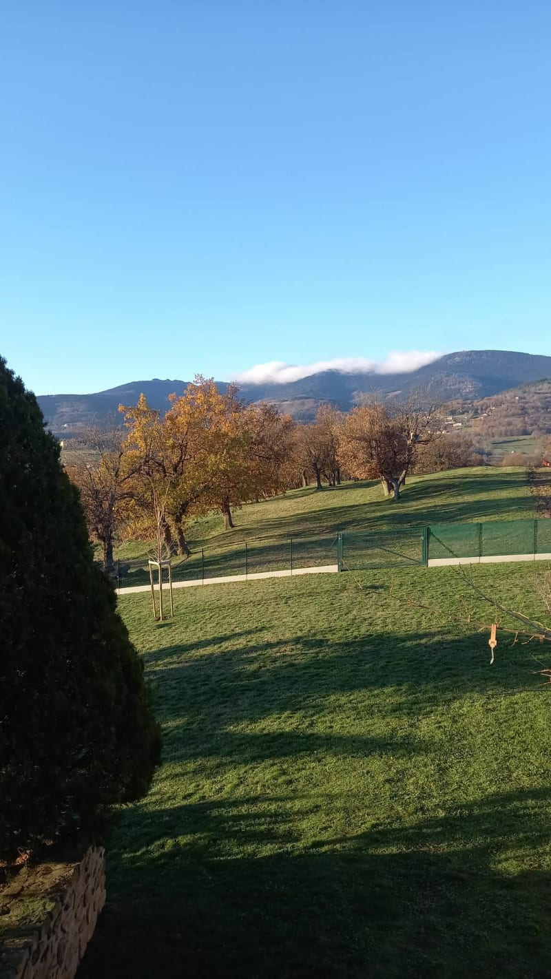 Balade tranquille à Beauvoir de Marc - Beauvoir-de-Marc