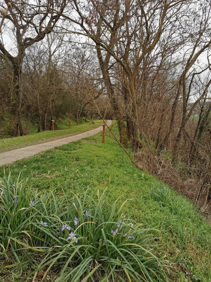 Boucle sur les hauts de Ramonville - Ramonville-Saint-Agne