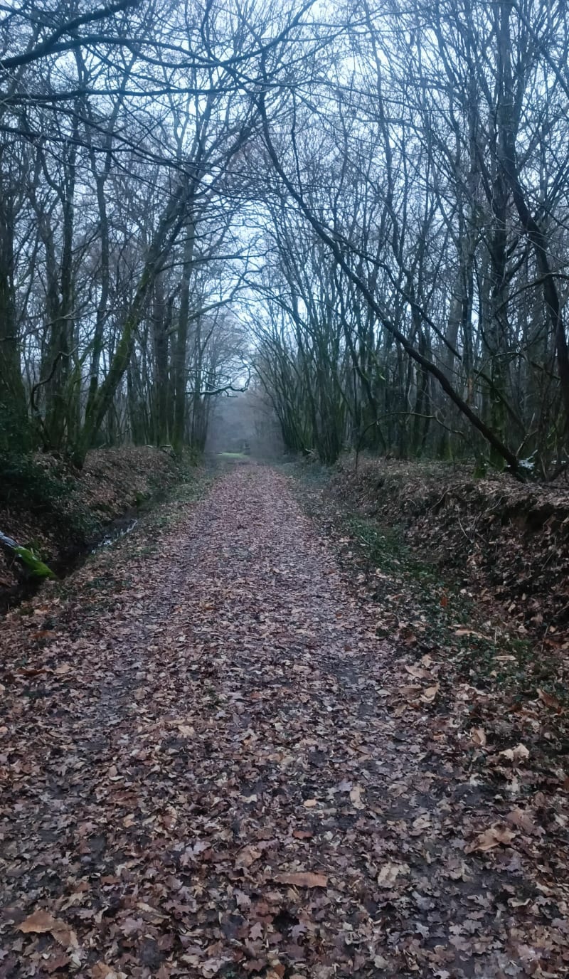 La boucle Rossettes Ponsuard - Druillat