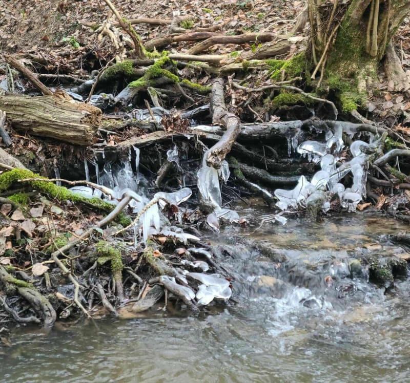 Balade à Bliesbruck - Bliesbruck