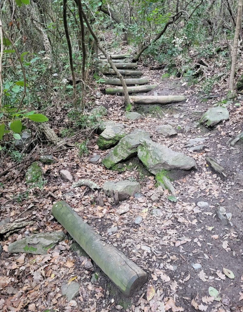 Sous le Fenouillet côté La Crau - La Crau