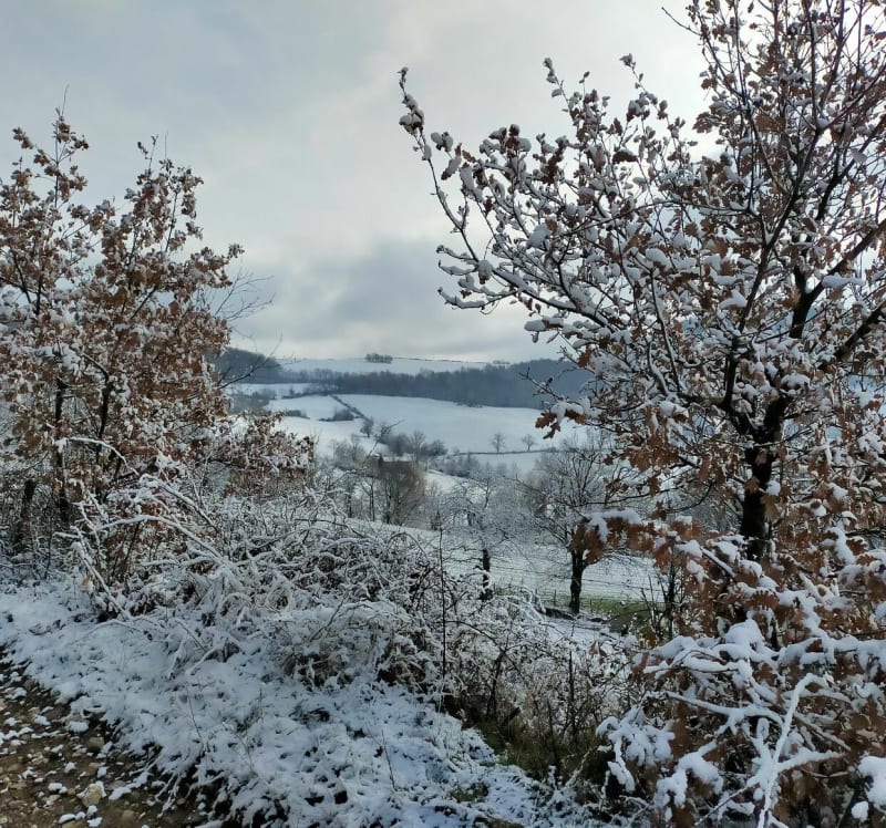 Sur les hauteurs de Saint-Chamond vers le Pilat - Saint-Paul-en-Jarez
