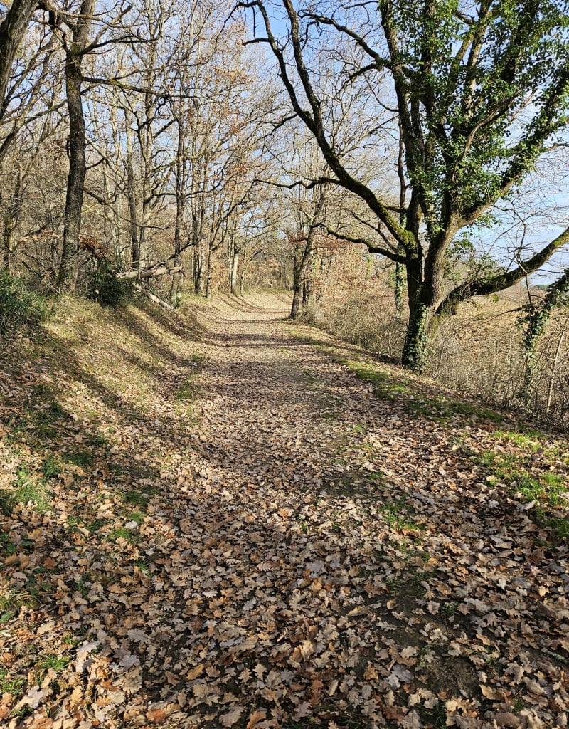 Boucle de Sainte Superie - Parisot