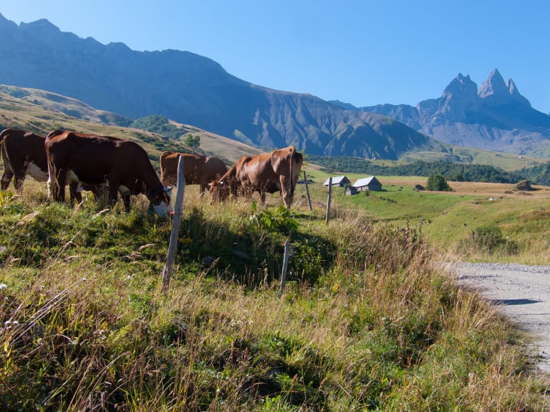 Sur les hauteurs de Valloire - Valloire