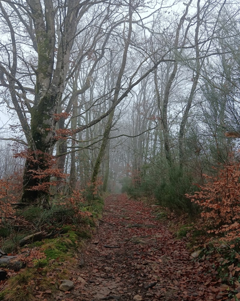 Petit tour dans les Monts de Blond - Vaulry