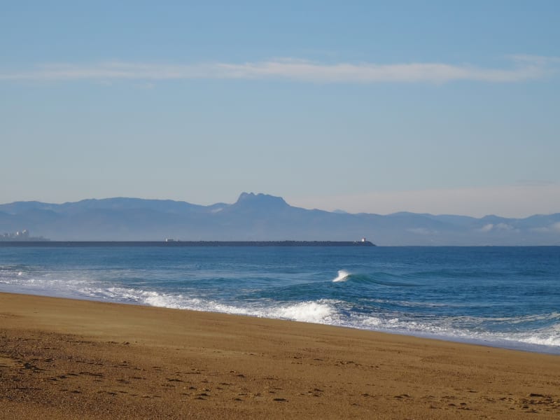 Tarnos, dans la Forêt des Dunes - Tarnos