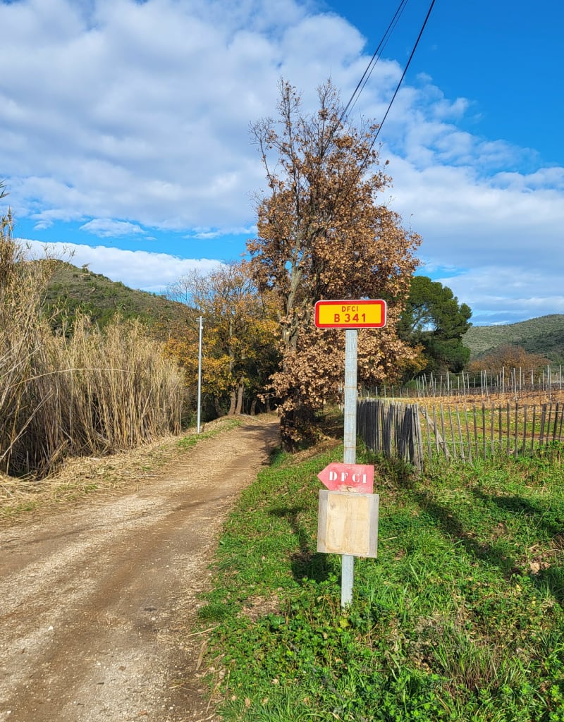 Boucle Baisse des Comtes avec variantes - Hyères