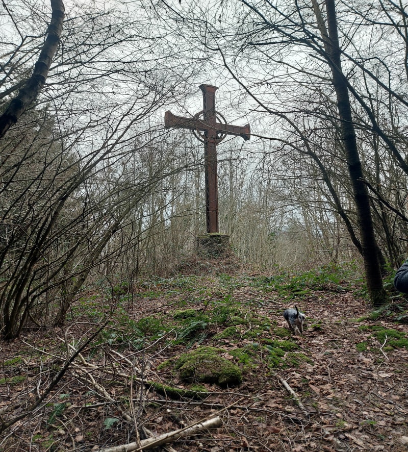 La croix des Seycheres - Larajasse