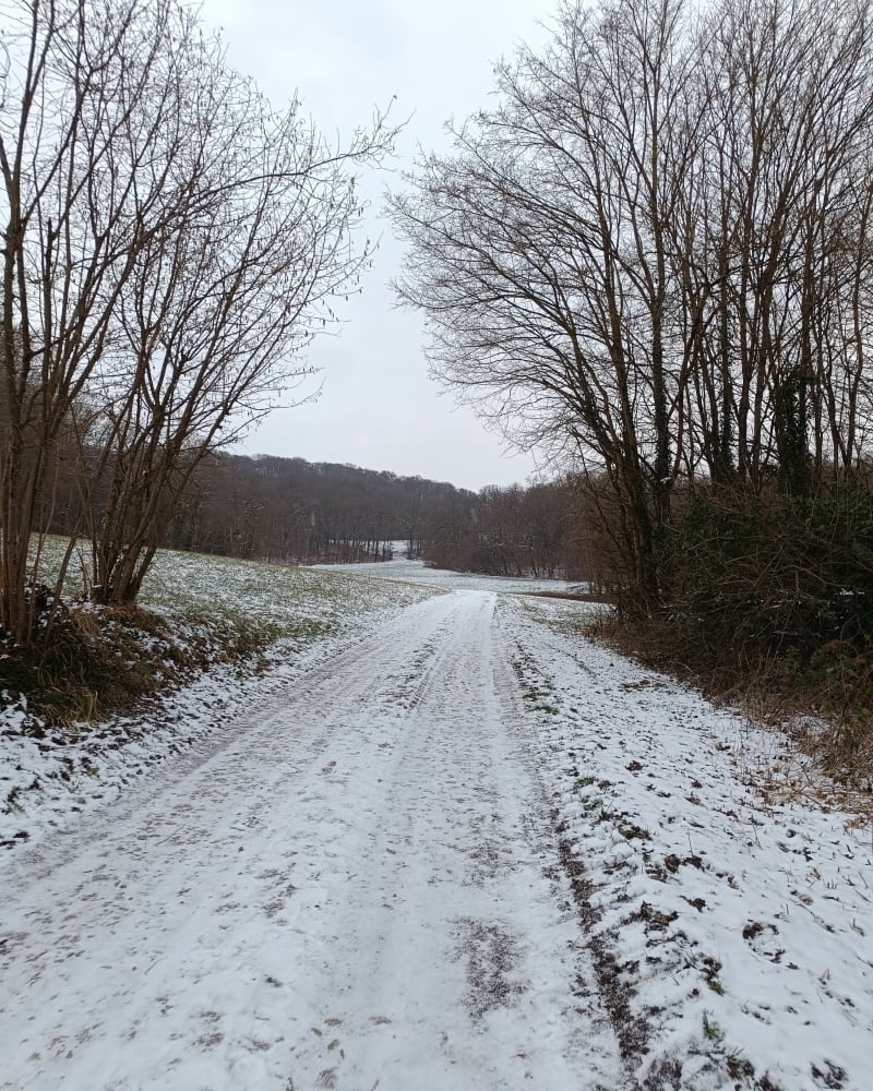 Tour de Steinbrunn à Obermorschwiller - Steinbrunn-le-Haut
