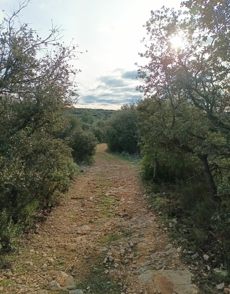 Vtt entre Uzès et Castillon du gard - Argilliers