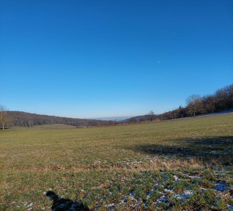 Les prairie de Rosenwiller - Rosenwiller