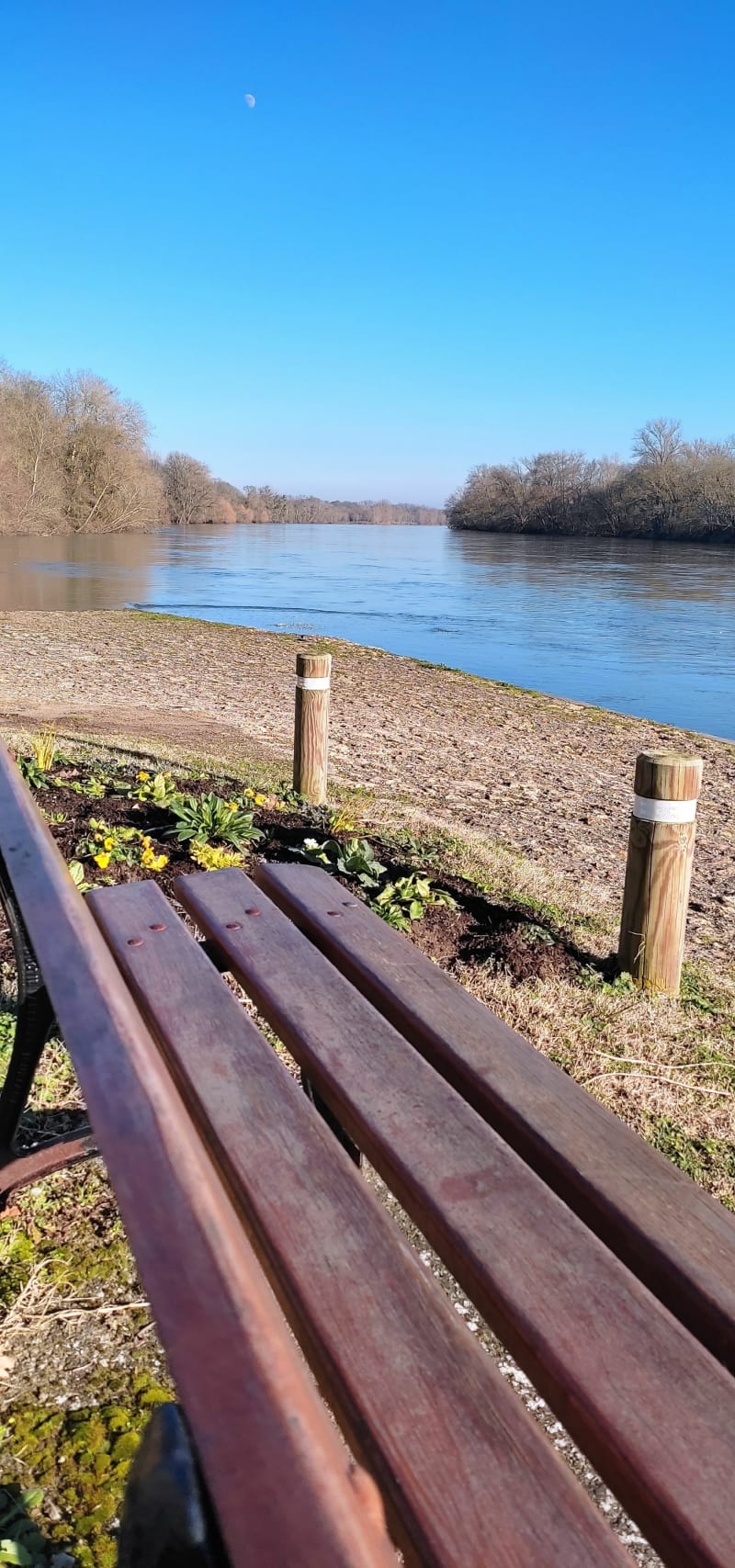 Balade à Chouzé sur Loire - Chouzé-sur-Loire