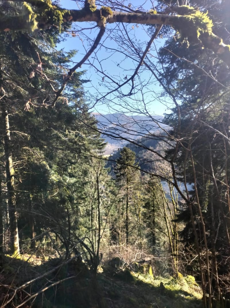 Lac de Kruth - Fellering