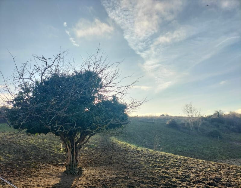 Balade sur la colline de Pech David - Toulouse