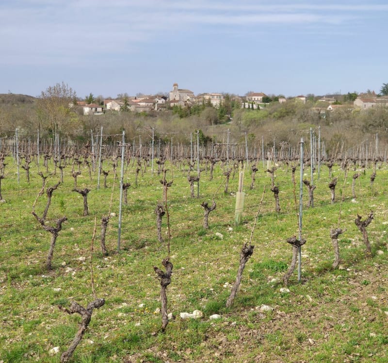 Villeseque les Arénas le Calvaire - Villesèque