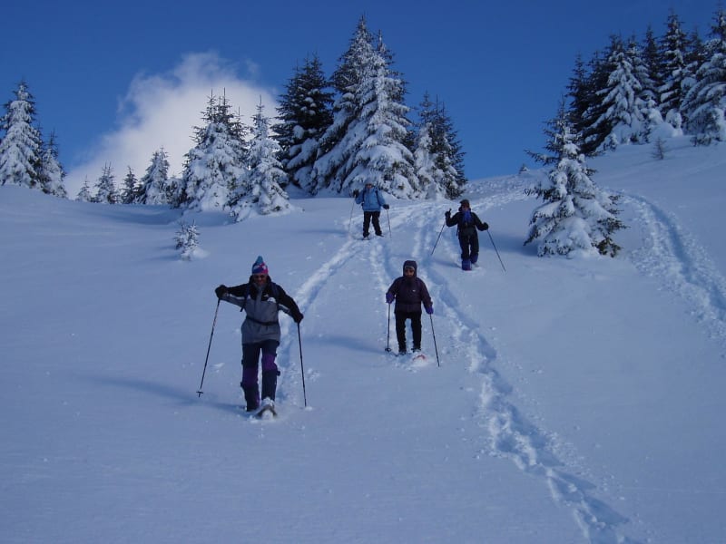 Sneeuwschoenen - De Gletsjers - Mont-Saxonnex