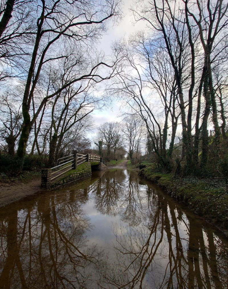 Randonnée Saint-André d'Ornay - Aubigny les Clouzeaux - La Roche-sur-Yon