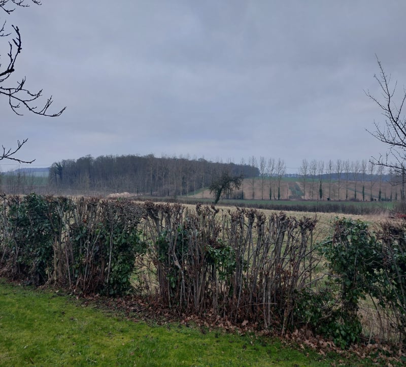 Fréchencourt par le bois - Fréchencourt