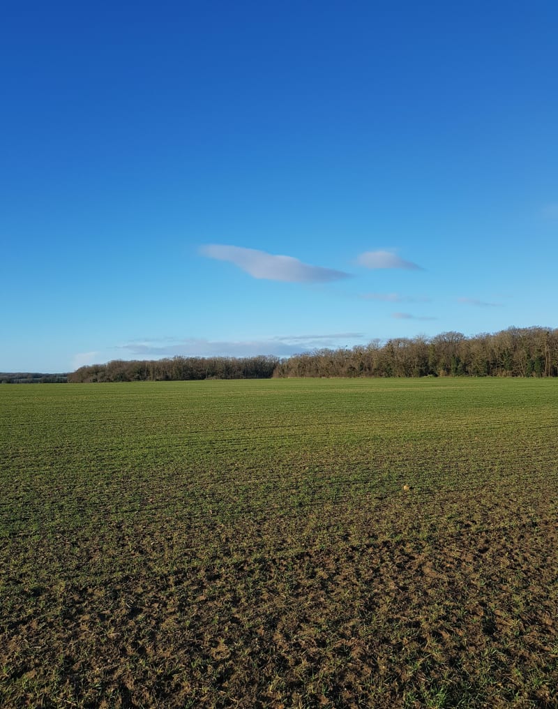Aubergenville et ses champs par Sainte Colombe - Aubergenville