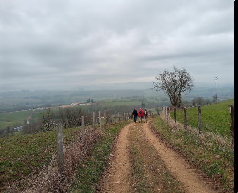 Circuit du Frêne à Neulise.. - Neulise