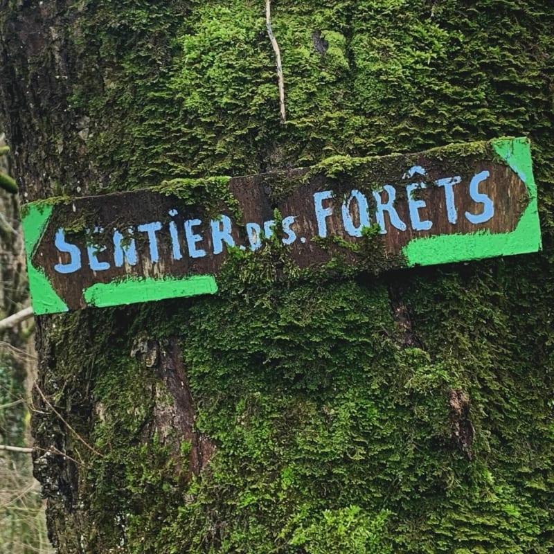 Le sentier des Forêts de Loubert - Terres-de-Haute-Charente