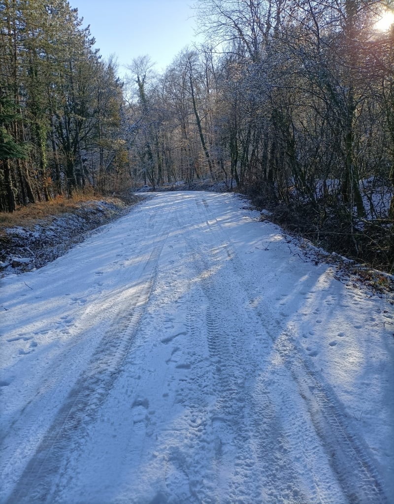 Morsbronn -  La Tour d'Elsasshausen - Morsbronn-les-Bains