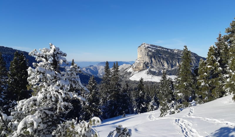 Rando à La croix de l'Alpe - Entremont-le-Vieux
