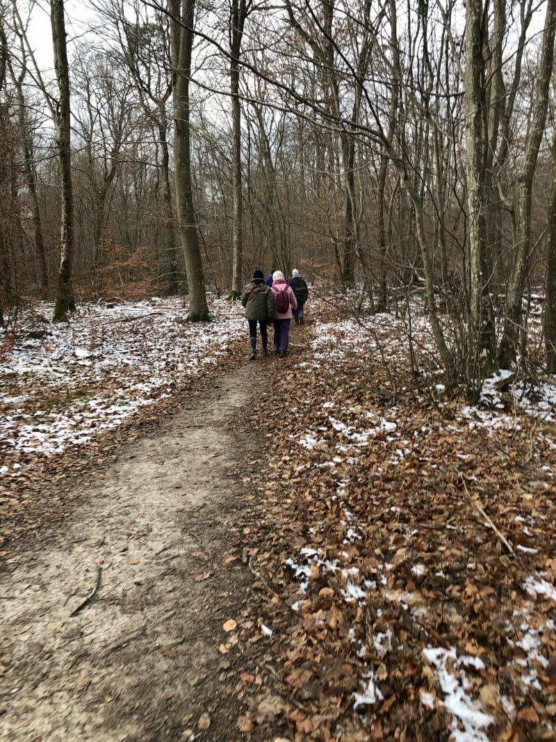 Rando en forêt Montargis - Châlette-sur-Loing