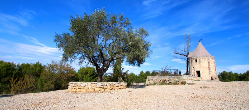 De Arles à Fontvieille, par l'étang de la Gravière à vélo - Arles