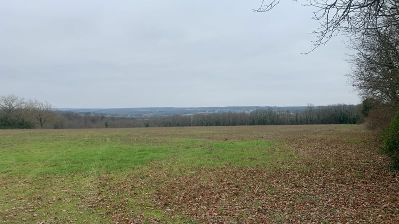 La bouclette verte - Touvre