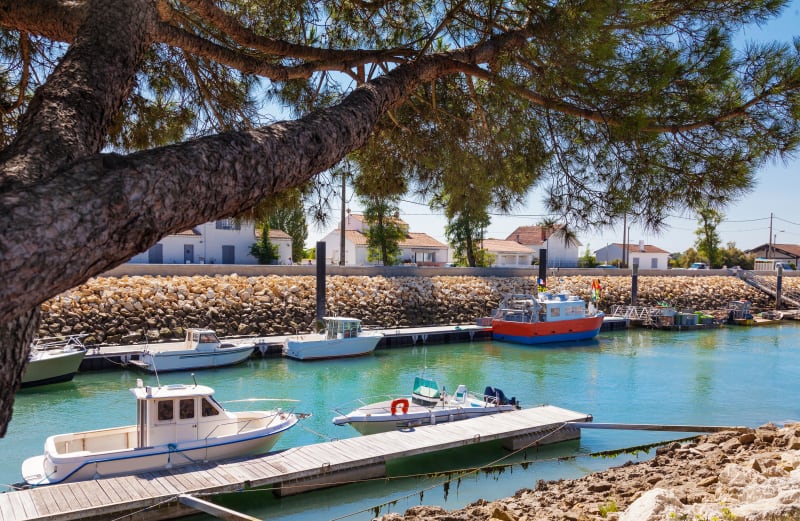 La boucle des marais de Boyardville - Saint-Georges-d'Oléron