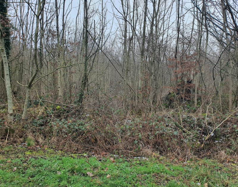 Circuit forêt de Meudon départ Marcel Bec - Meudon