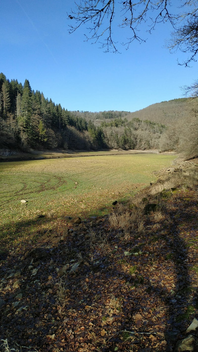 Chartreuse Sainte Marie depuis les Ancizes - Les Ancizes-Comps