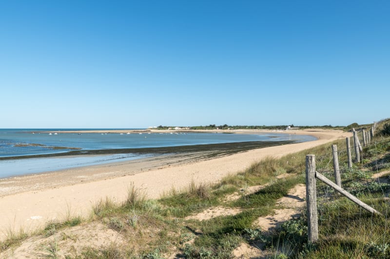 Circuit à vélo à Dolus d'Oléron - Dolus-d'Oléron