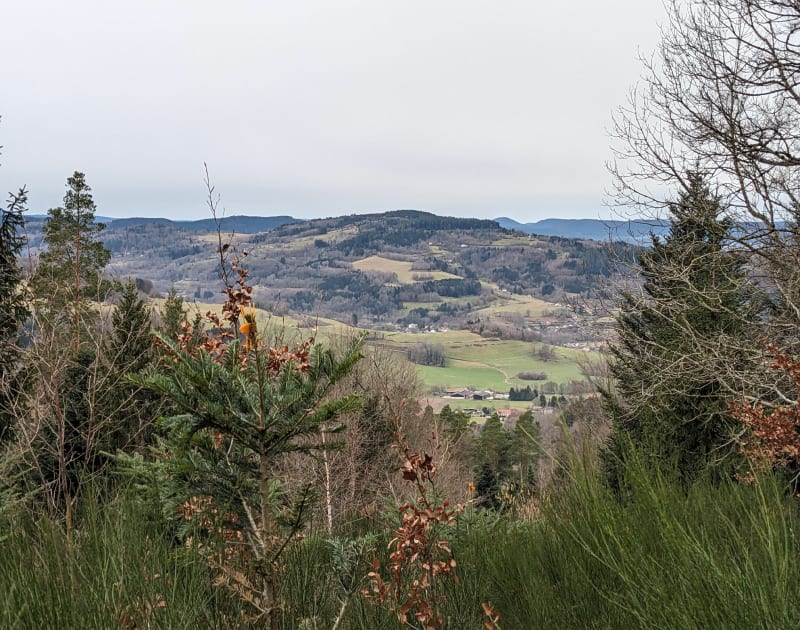 Les anciennes carrières de grès depuis Wisembach - Wisembach