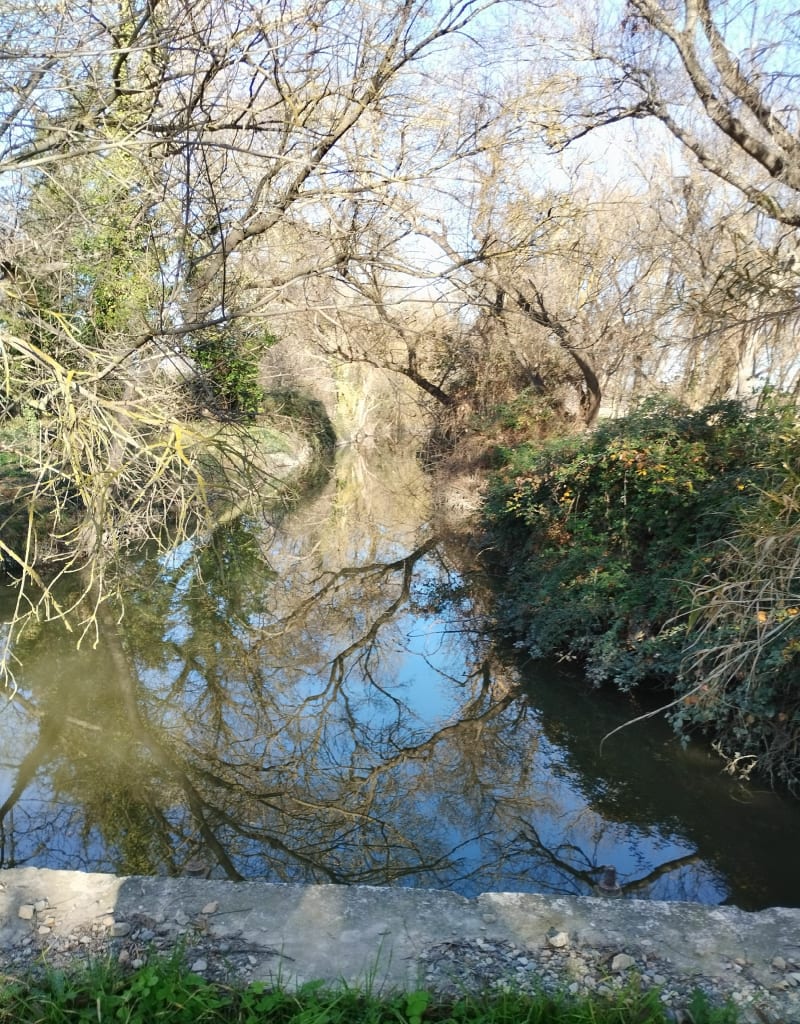 Balade à Saint gilles - Saint-Gilles