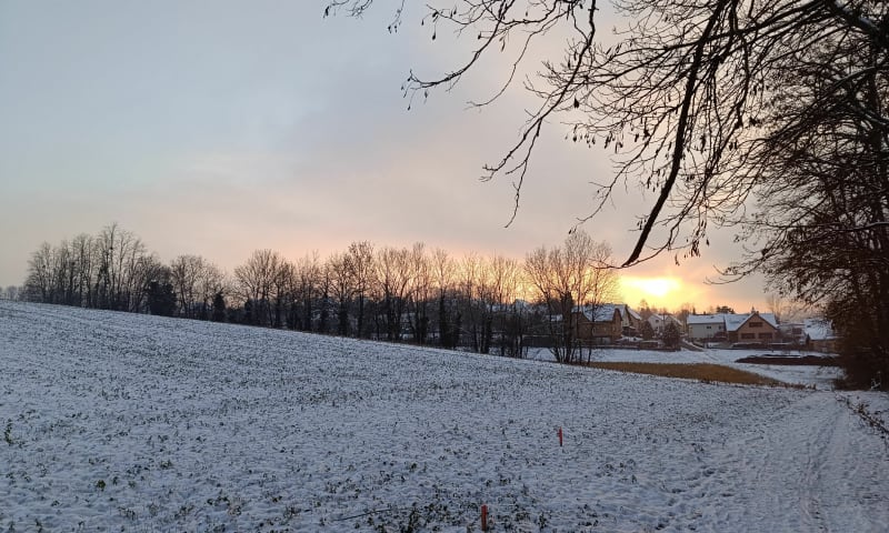 Boucle de Bartenheim à Brinckheim, sous la neige - Bartenheim