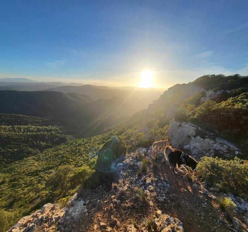 Camin del Mont Major depuis Saint-Pierre-des-Champs - Saint-Pierre-des-Champs