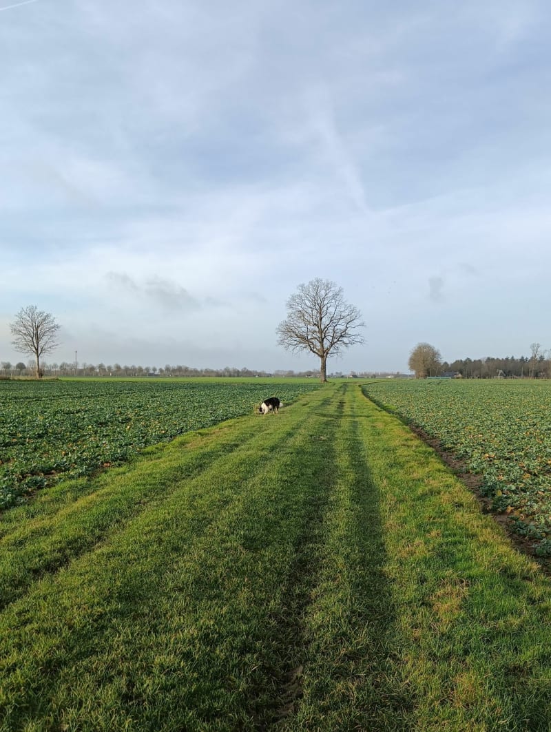 Promenade à Bazoques - Folleville
