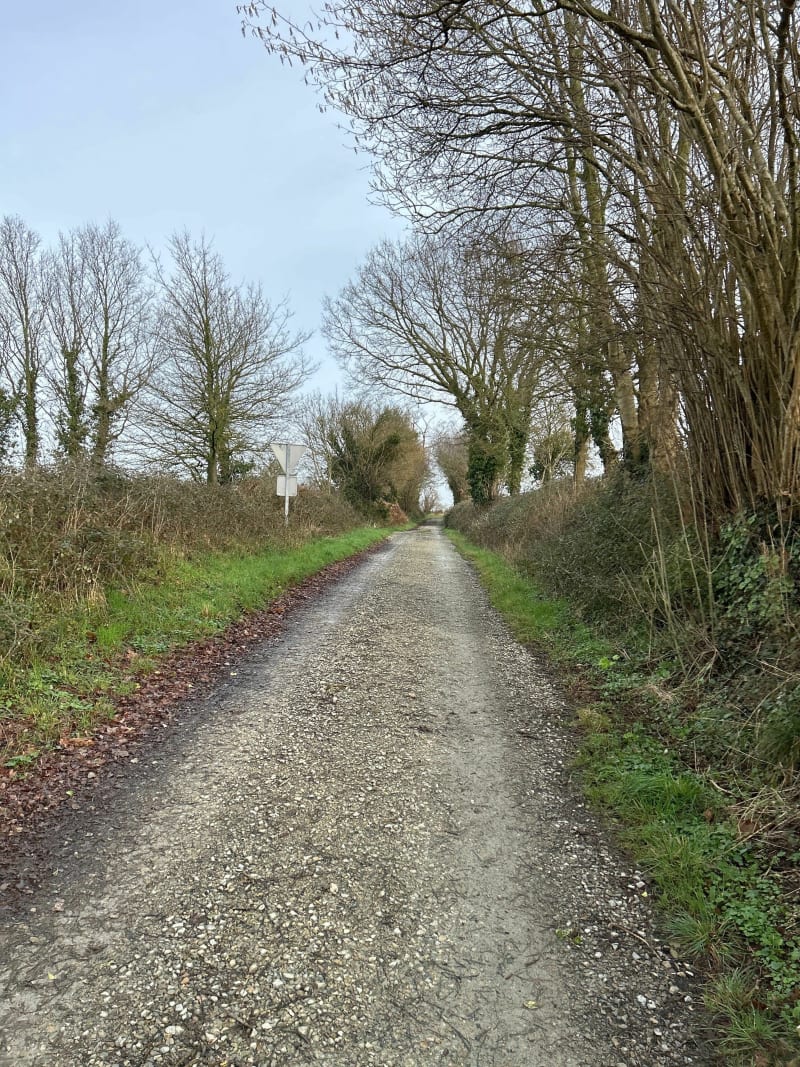Sortie matinale autour de Cossé le Vivien - Cossé-le-Vivien