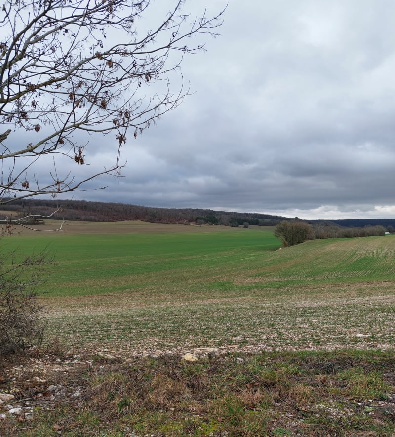 Sur les hauteurs de grenant les Sombernon - Grenant-lès-Sombernon