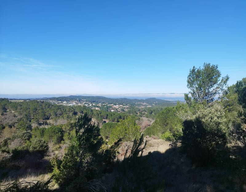 Sur les collines d'Alaric par Sainte-Claire - Carcassonne