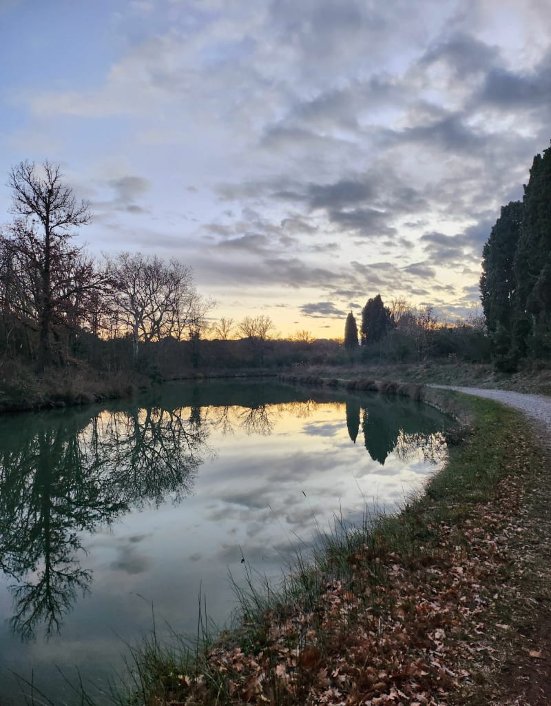 Promenade le long du canal - Carcassonne