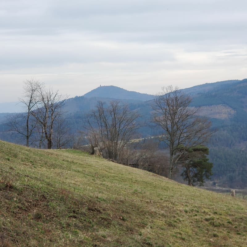 Timbach, Hury et retour - Sainte-Croix-aux-Mines