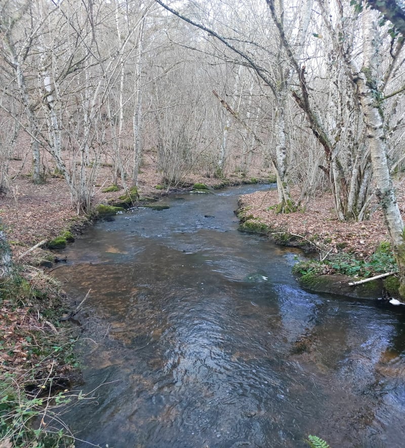 Tour des pierres de légendes - La Roche-en-Brenil