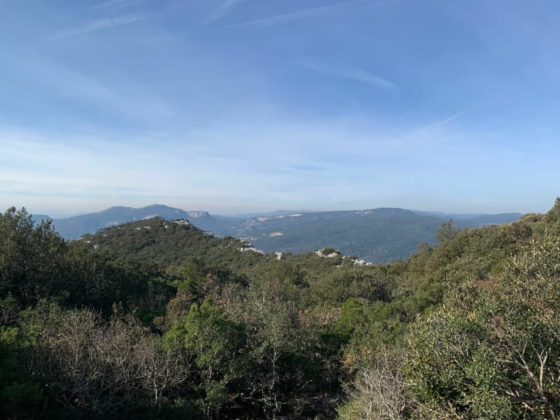 Le Mont Coudon par la route - La Valette-du-Var