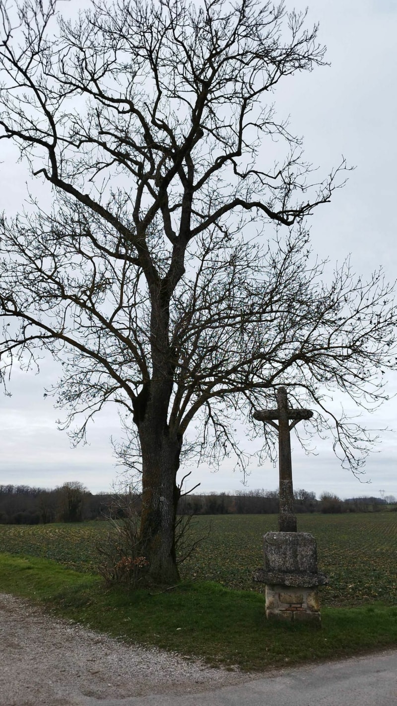 La Madone par Pérouges - Meximieux