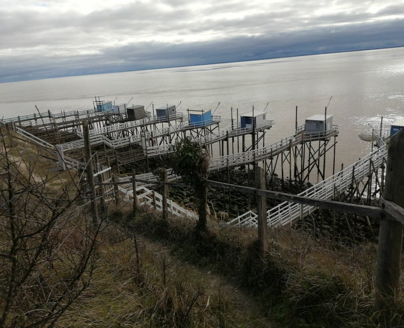 Barzan, Talmont sur Gironde en passant par les marais - Barzan
