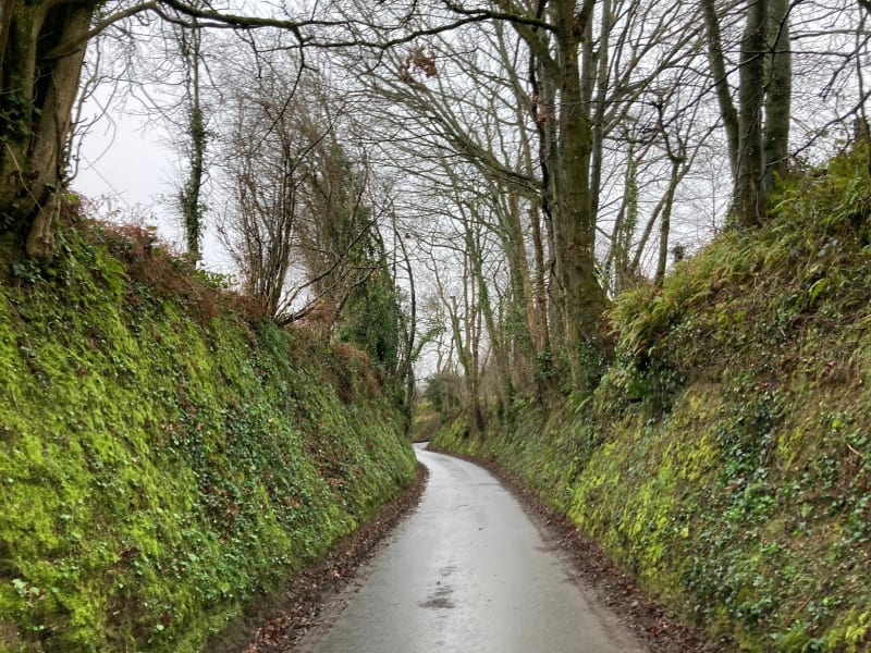 Circuit dans les petits chemins creux autour de St-Lô - Saint-Lô