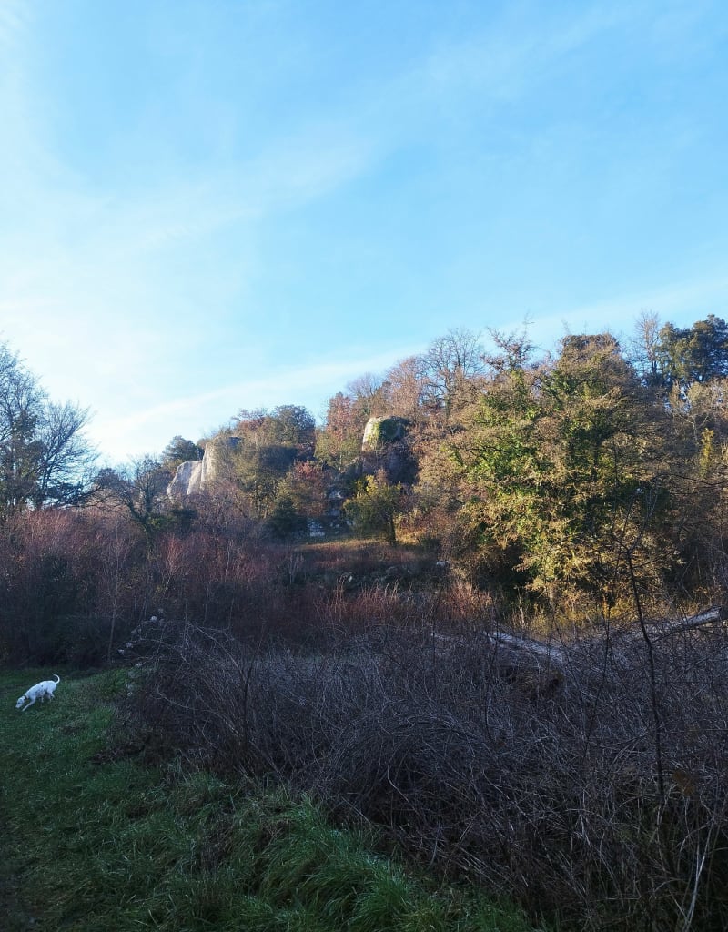 Petite balade autour des falaises des Eaux Claires, par Mont Riant - Puymoyen